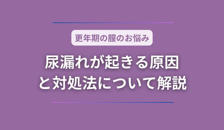 更年期で膣がゆるむと尿漏れが起きやすい？原因と対処法について解説